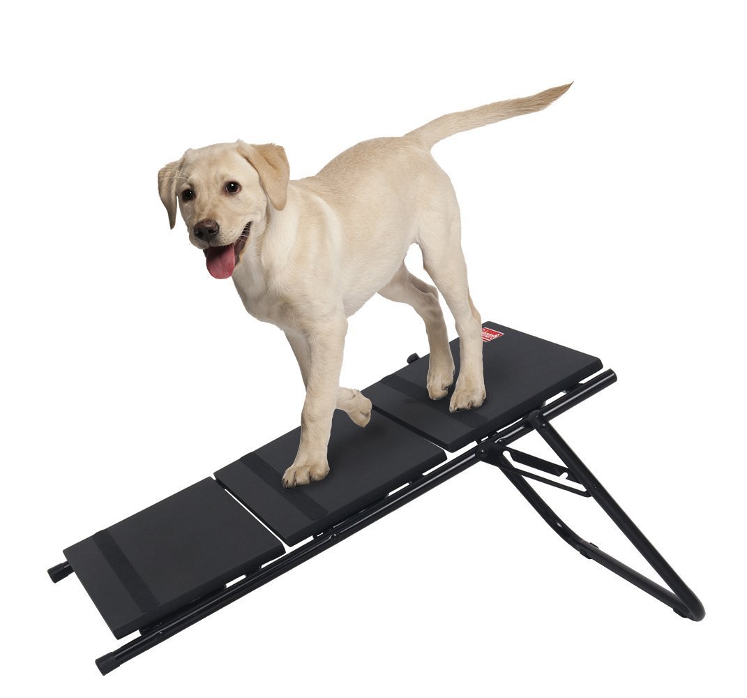 Coleman Convertible Pet Stairs and Ramp