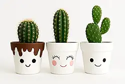 Trio de Vasos de Barro Pintados à Mão – 10x8cm – Design Divertido e Decorativo – Ideal para Cactos e Suculentas (Sem Plantas)