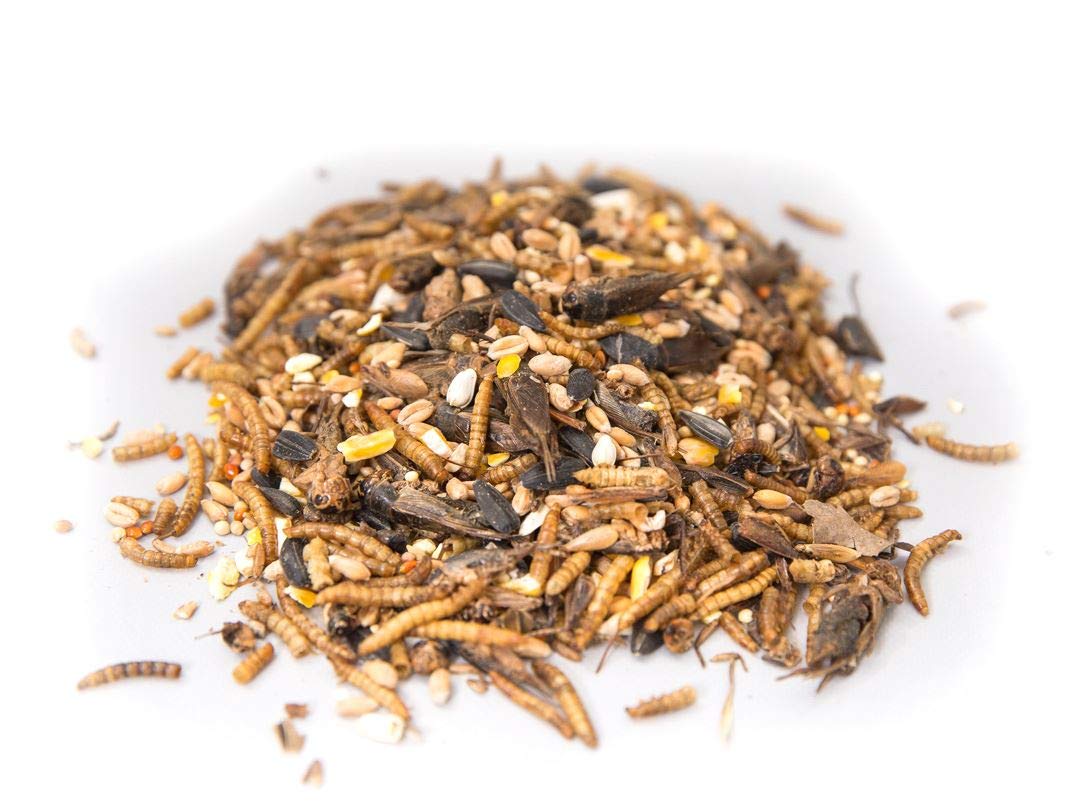 12.55Kg Chubby's Cricket Combo - Wild Bird Seed, Mealworms & Cricket Mix
