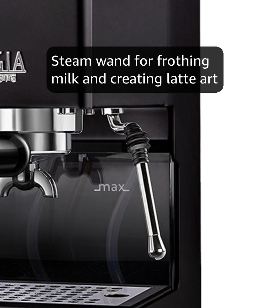 Amazon.com: Gaggia RI9380/49 Classic Evo Pro Espresso Machine