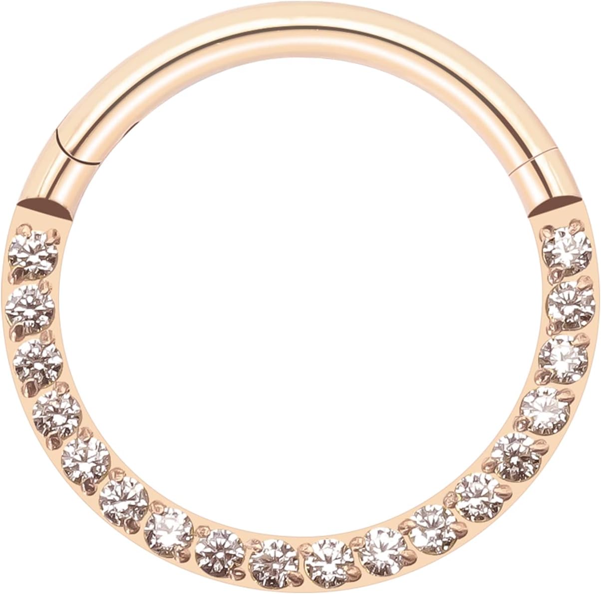 BLISI G23 Titanium Nose Rings Hoop Septum Clicker 16G Hinged Nose Segment Ring Hoop 8mm/9mm/10mm Cubic Zirconia Cartilage Earrings Conch Daith Helix Rook Tragus Ear Body Piercing Jewelry