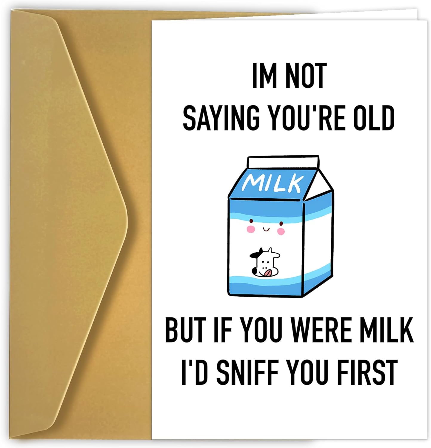 Funny Birthday Card For Her, For Friend, Funny Birthday Card, Comedy Gift For Him, Or Him, Happy