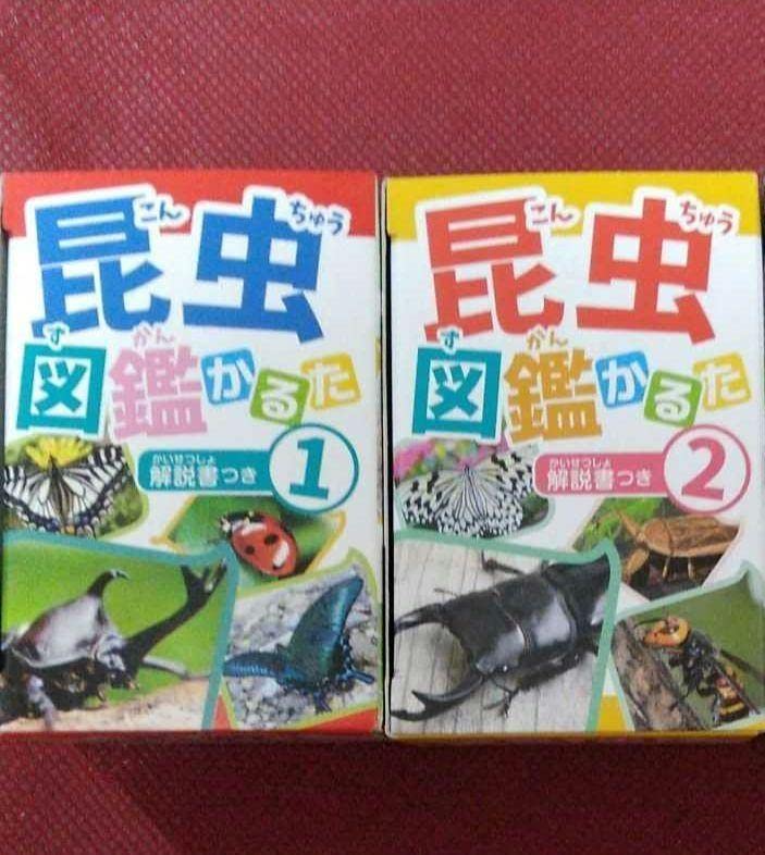 Amazon.co.jp: 2点セット 昆虫 図鑑 かるた カルタ 知育玩具 : おもちゃ
