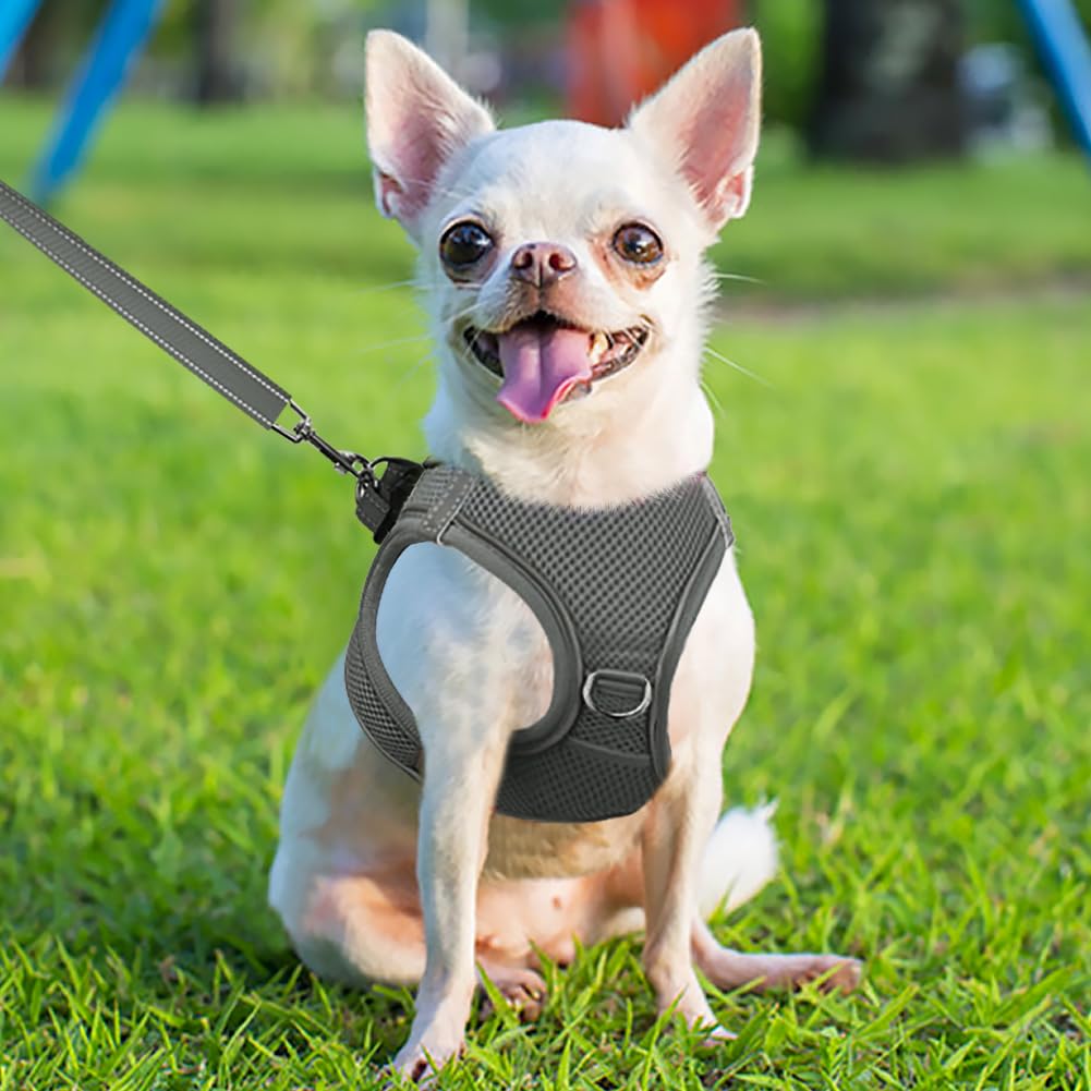 Joytale Step in Dog Harness,Soft Mesh Reflective Breathable Vest Harnesses,Easy Walk Harness with Safety Buckle for Puppies and Extra Small Dogs,XS,Gray - Image 2