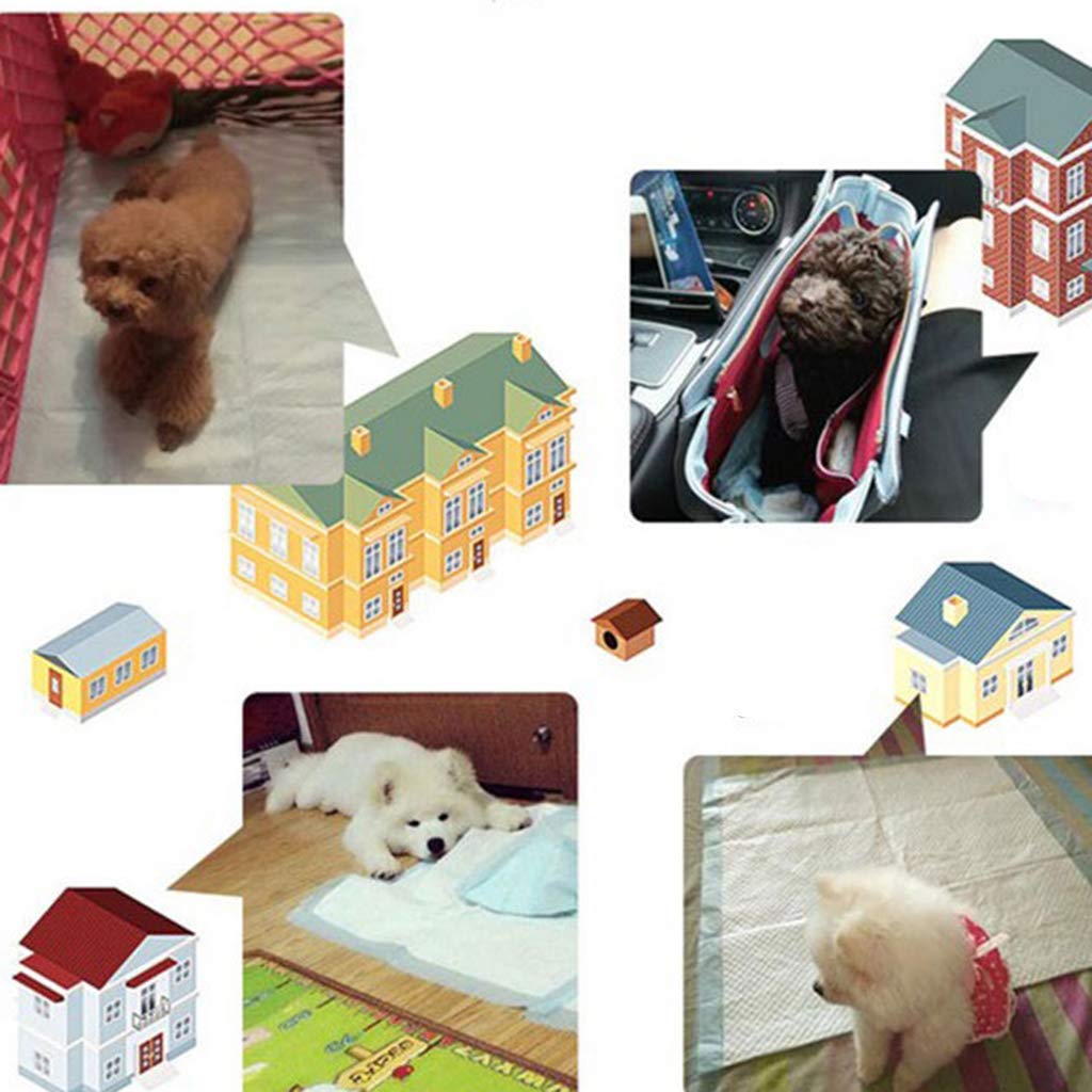 Pañales para Cachorros y Cachorros, Lavable, Inferior e Impermeable