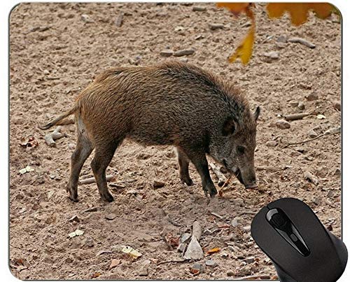 Diseño animal lindo bebé cerdo Mousepad, jabalí alfombrilla de ratón con bordes cosidos