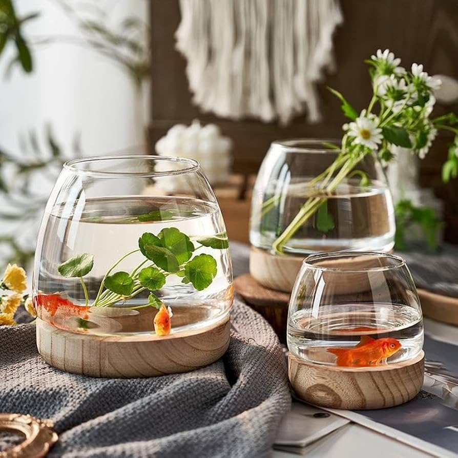 木製 円形金魚鉢 中型 人工水草付き Amazon | 金魚鉢 ガラス 丸 金魚 透明 小さな魚の水槽 丸型