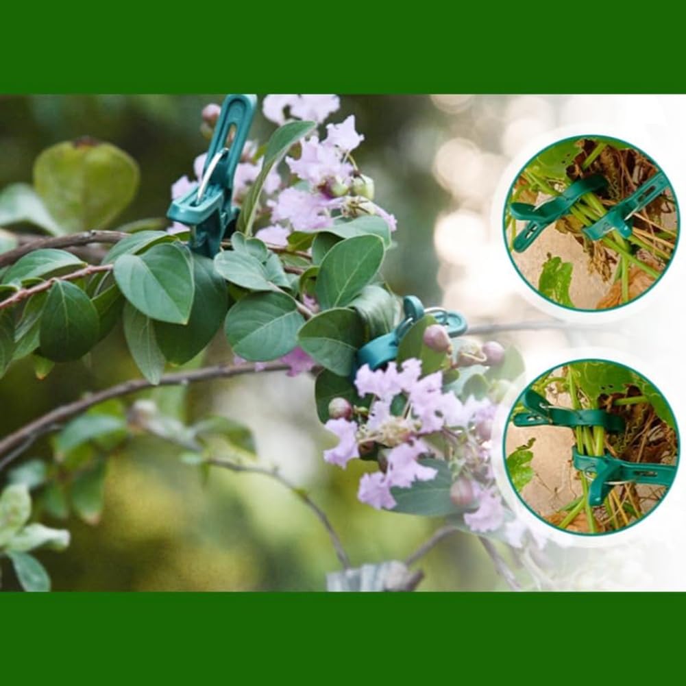 KeuLen Tuteur for fraisiers, Clips Fixes en Plastique, Clips de Support for Plantes grimpantes, Clips Fixes for vignes de Jardin