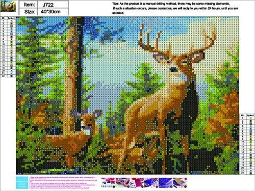 5D Diamond Painting Kits Full Drill Diamond Embroidery