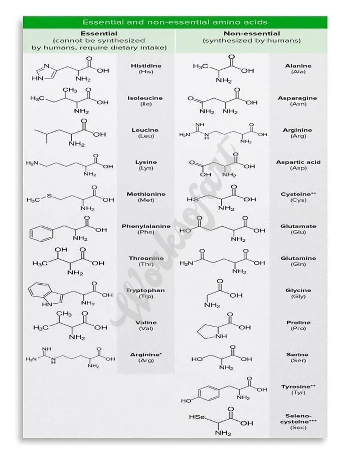 JMVLVLOA Science Study Aid Metal Tin Sign Vintage Amino Acids Chart Genetic Code Reference Informative Wall Decor for Office Library 8 X 12 inch