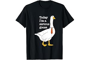 T-Shirt: Today I Am a Serious Goose