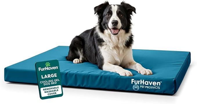 Cama Ortopédica para Perro Grande Lavable y Resistente al Ag