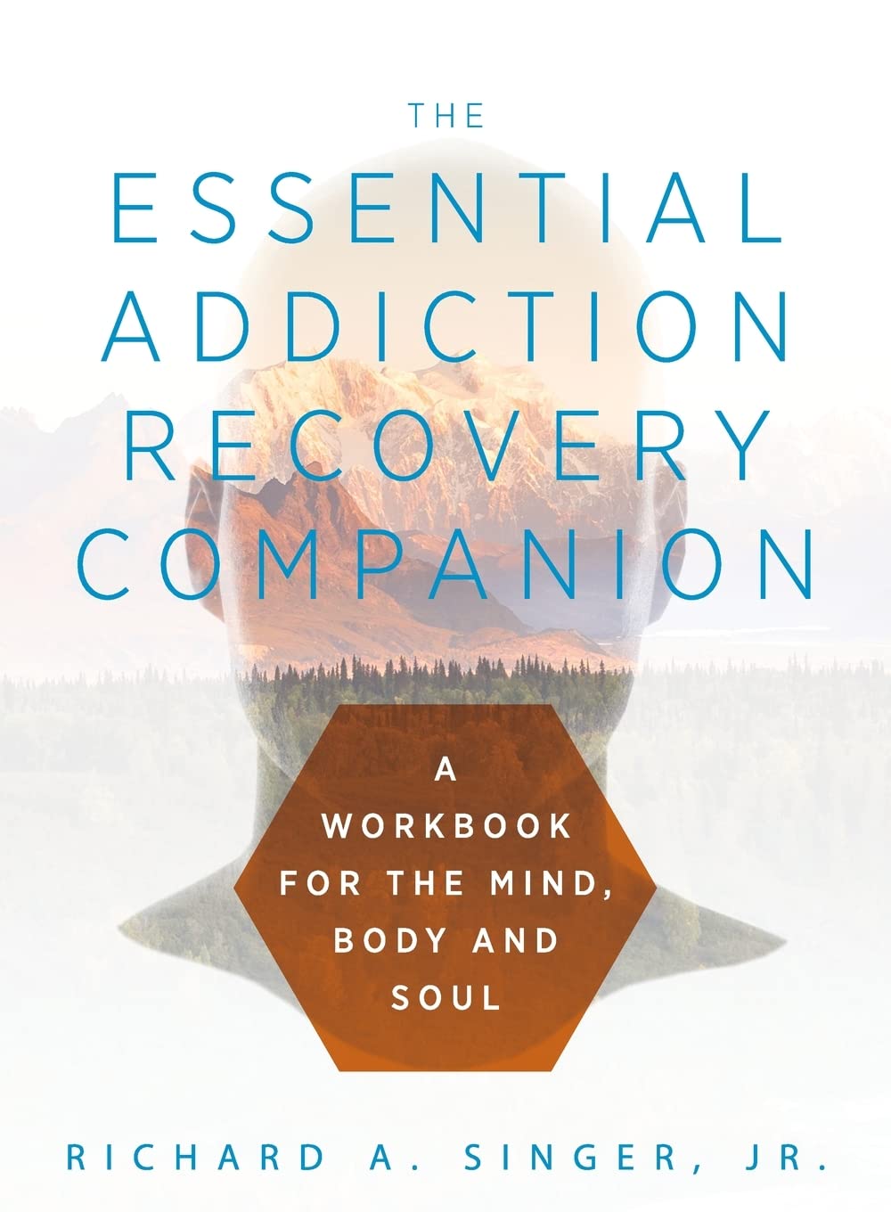 Buy The Essential Addiction Recovery Companion: A Guidebook for the Mind, Body, and Soul — BookShops.in