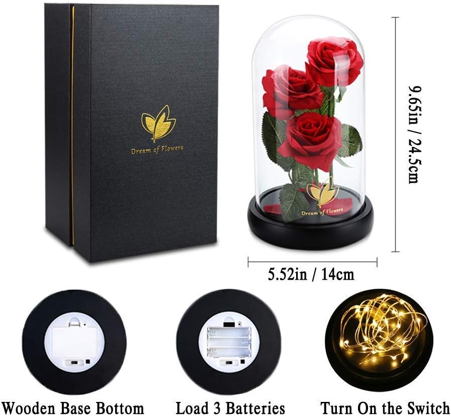 Beauty and The Beast Rose Valentines Day Gifts for Her, Birthday Gifts for Women, Light Up Roses, Glass Dome Rose with LED Lights, Red Roses, Valentines Mother Women's Gift for Mom Wife Girlfriend - Image 2