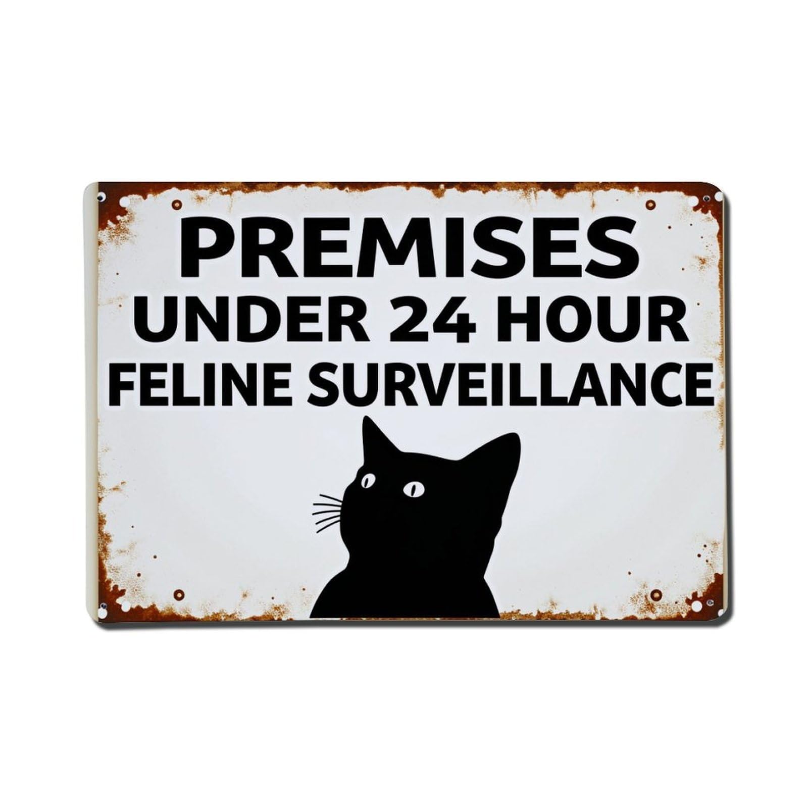 Premises Under 24 Hour Feline Surveillance Tin Sign Vintage Metal Poster, Home Bar Garage Man Cave Cafe Indoor & Outdoor Wall Decoration 8x12Inches