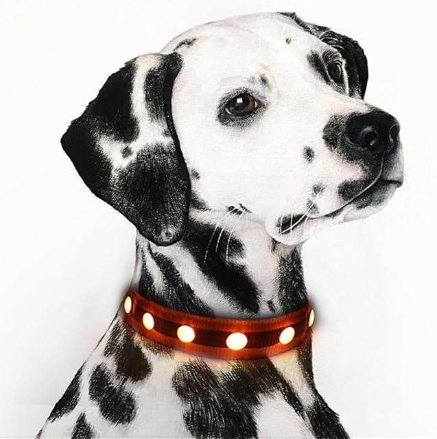 Foto 4 de 6 de QQY Collar de Perro led, Collar de Mascota Impermeable y Luminoso Cargado por USB con 3 Modos de Collar…