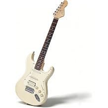 Ranch Full Size Electric Guitar Kit ST Style Solid Poplar Body Maple Neck Electric Guitars Starter Pack for Beginner Bundle Gig bag, Tuner, Strap, Tremolo Bars, Picks, Cable & Adjustable Tool