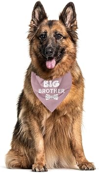 Big Brother Dog Bandana, Funny Pet Triangle Scarf for Daily Walk Playdate Birthday Party Baby Announcement Photo Outfit, Baby Pink Neckerchief for Small Medium Dogs