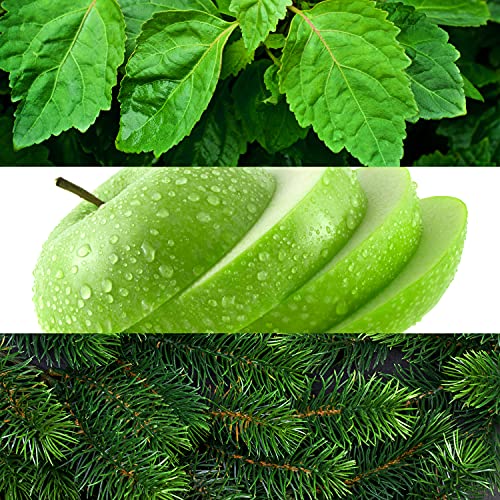 Lacoste Lacoste red eau de toilette sinnlich-warmer herrenduft mit patschuli vetiver und kiefern-noten für energetische männer 75ml