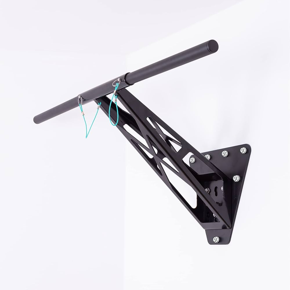 Amazon.com : PULLUP & DIP Straight Pull-Up Bar Set as