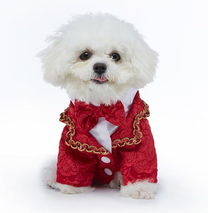 Disfraz para perro tamaño XL con corbata y diseño elegante miniatura 2