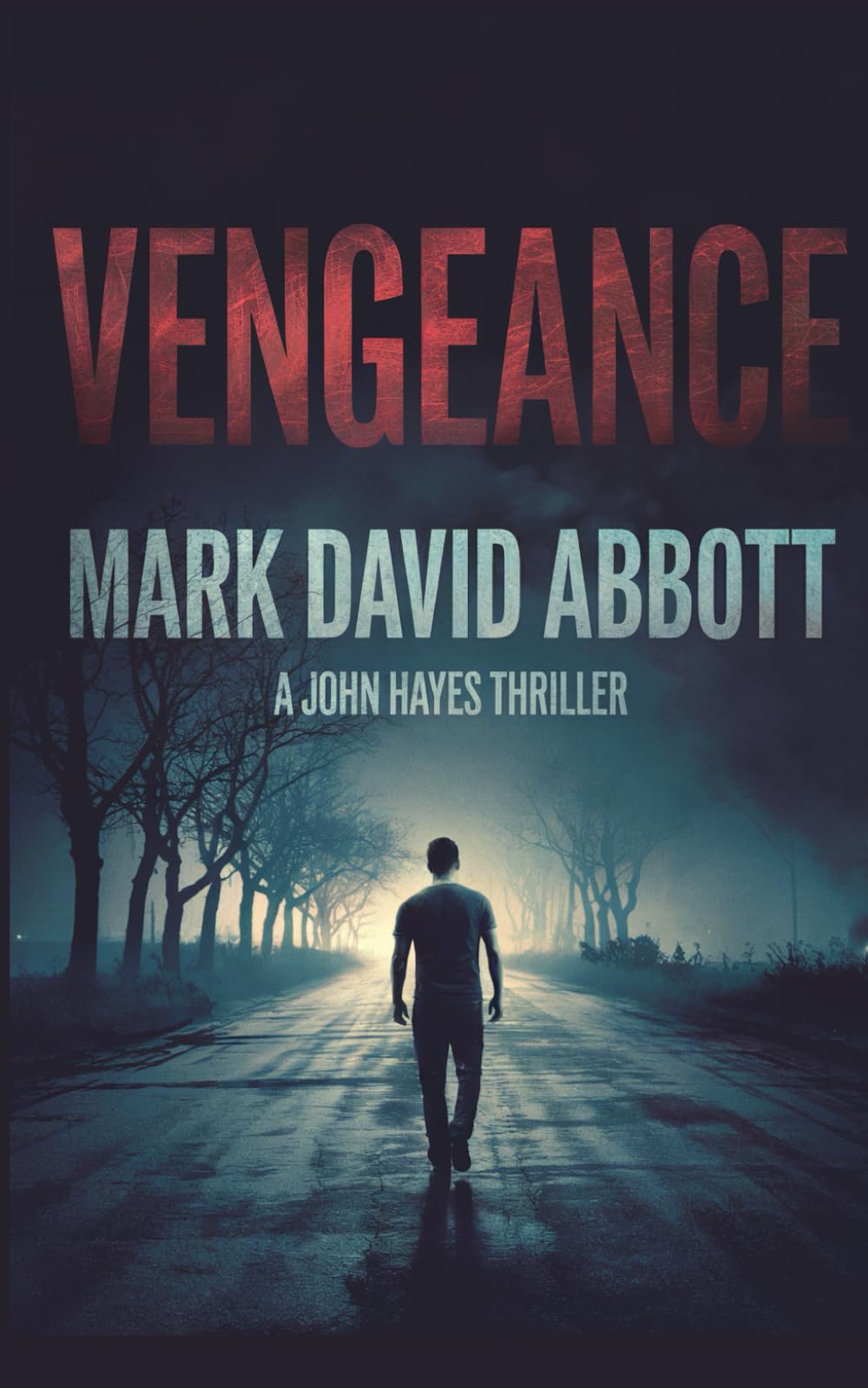 Vengeance: A Revenge Thriller - John Hayes Book 1 (A John Hayes Thriller)