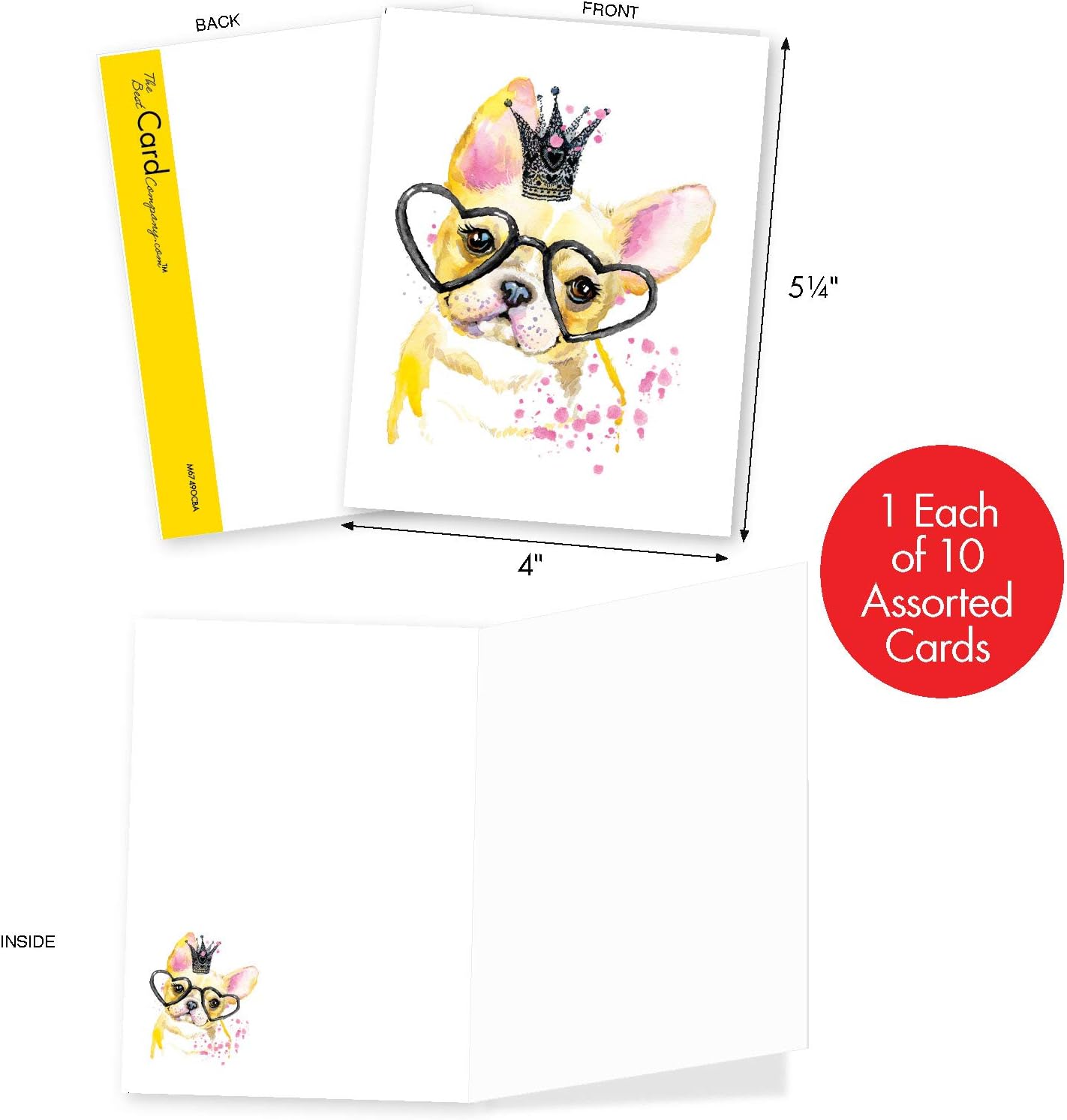 Funky Rainbow Wildlife, Box of 10 Blank Watercolor Note Cards with Envelopes - All Occasion Blank Greeting Cards - Cute Animal Thank You Notecard, Appreciation Stationery 4 x 5.12 Inch M4948OCB-B1x10 : Office Products