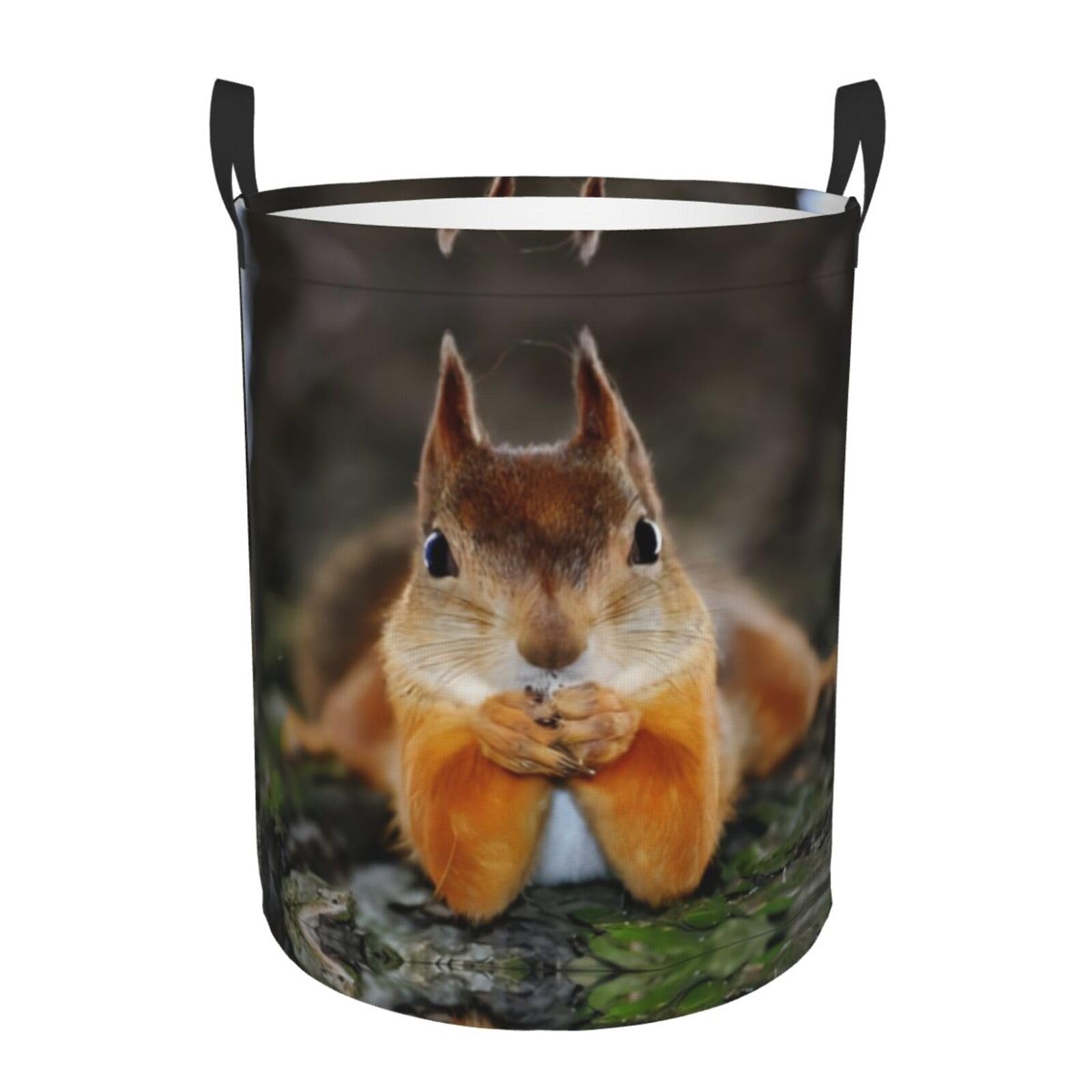 M Circular Hamper Funny Squirrel Print Storage Basket for Home