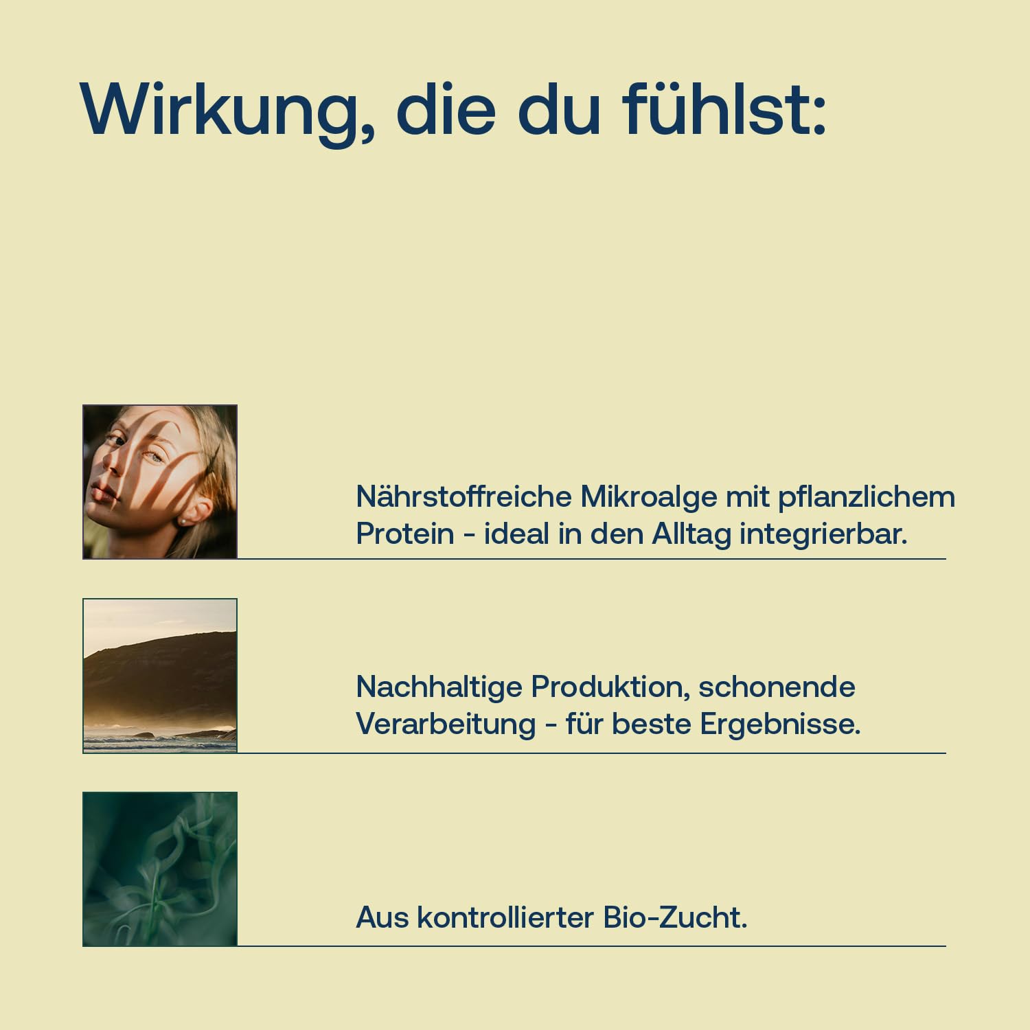 Chlorella Bio Presslinge - 1060 Tabletten - Hochdosiert mit 500 mg - Aus 100% Bio Chlorella - Reicht für mehr als 3 Monate - Abgefüllt & Kontrolliert in Deutschland (DE-ÖKO-006)