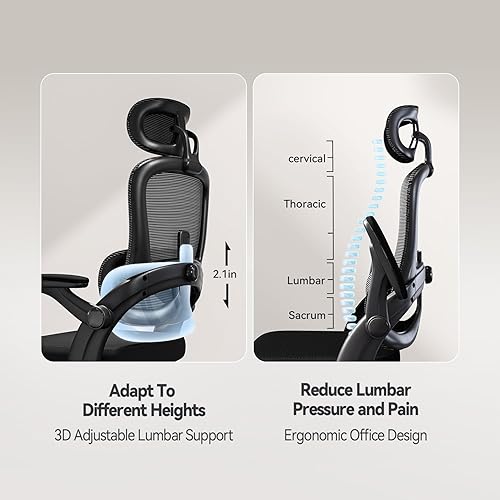 Miniatura 3 de SIHOO - Silla de oficina ergonómica, silla de escritorio con soporte lumbar ascendente y descendente, silla de escritorio para el hogar con respaldo