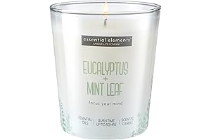 Invigorating Eucalyptus & Mint Leaf Aromatherapy Candle for Freshness and Relaxation