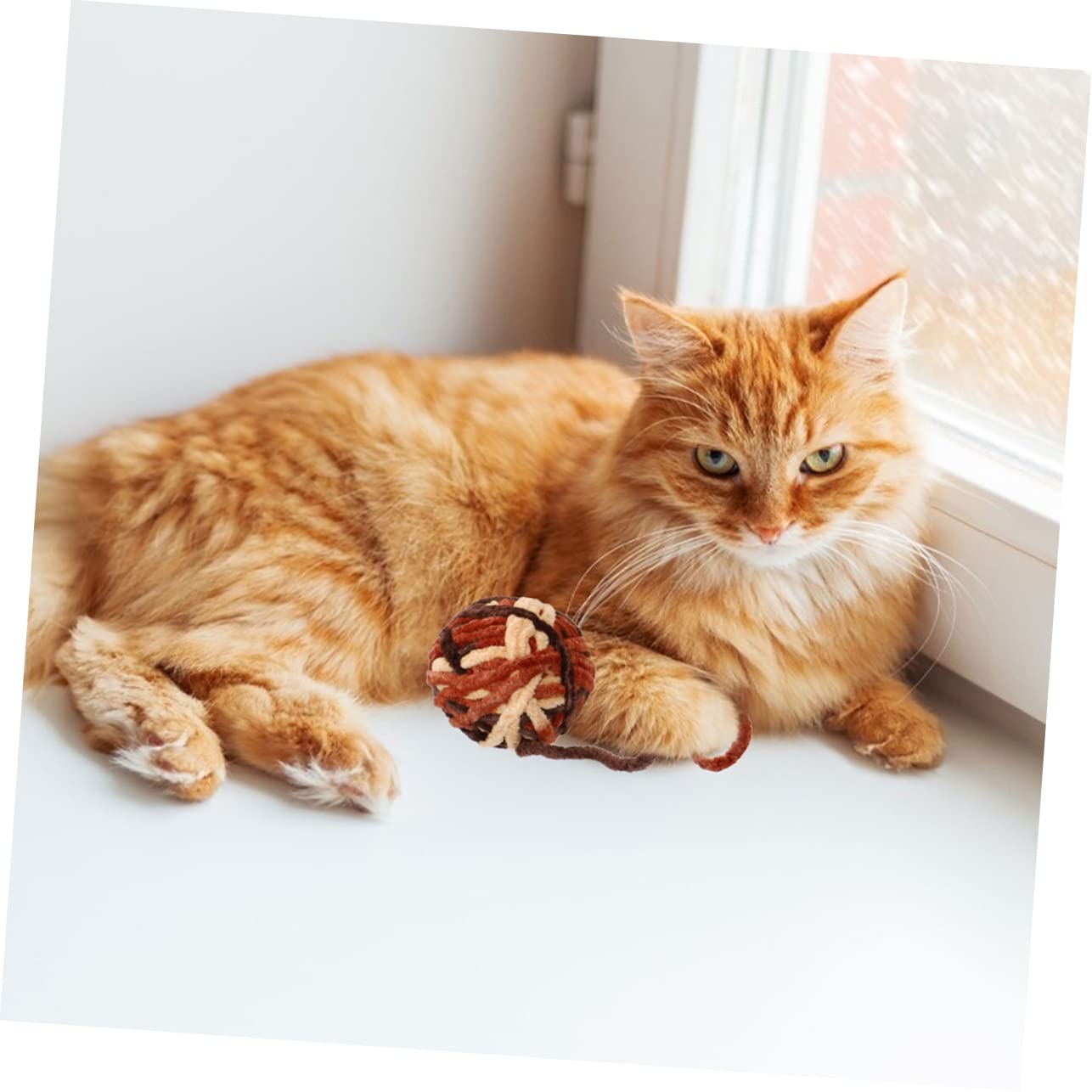 Beaupretty 10pièces Jouets Pelote pour Chats avec Cloches Jouets Interactifs De Mâcher pour Chats Et Chatons pour Éveiller Et Amuser Vos Animaux De Compagnie
