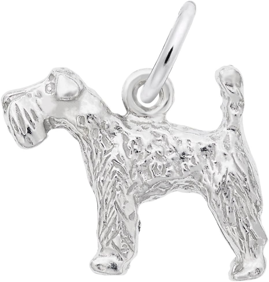 Sterling Silver Animal Charms and Pet Charms for Bracelets | Rembrandt Charms (New Styles 2022)