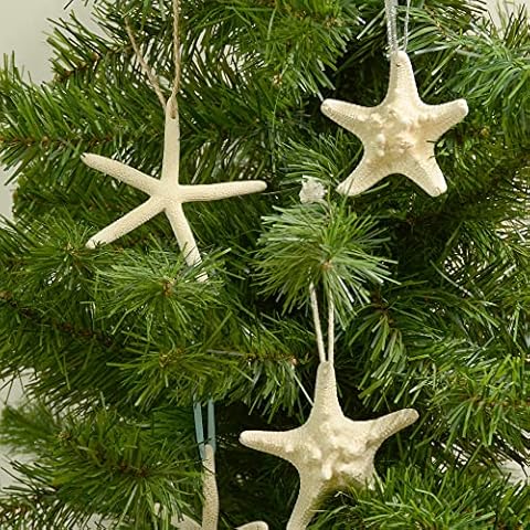 16pcs Starfish and Scallop Shells Coastal Wedding and Hanging Starfish Christmas Tree Ornaments with Hemp Rope Cover