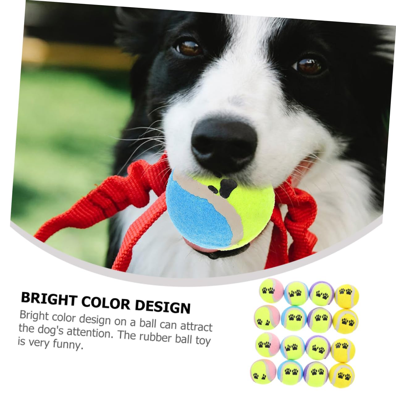 Happyyami Hundetraining 16 Stück Hundespielzeuge Für Den Robusten Innen- Und Außenbereich Zufällige Farbe