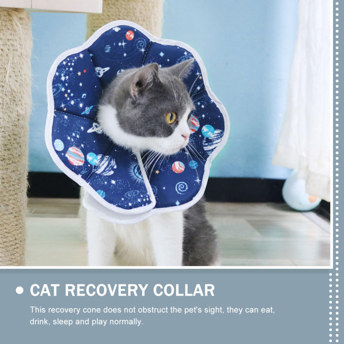 Didiseaon 5pezzi Collare Elisabettiano Per Animali Domestici Protezione Post-operatoria Per Gatti e Cani Previene Leccate e Grattate Design Comodo e Facile Da Collare Protettivo Per Ferite e