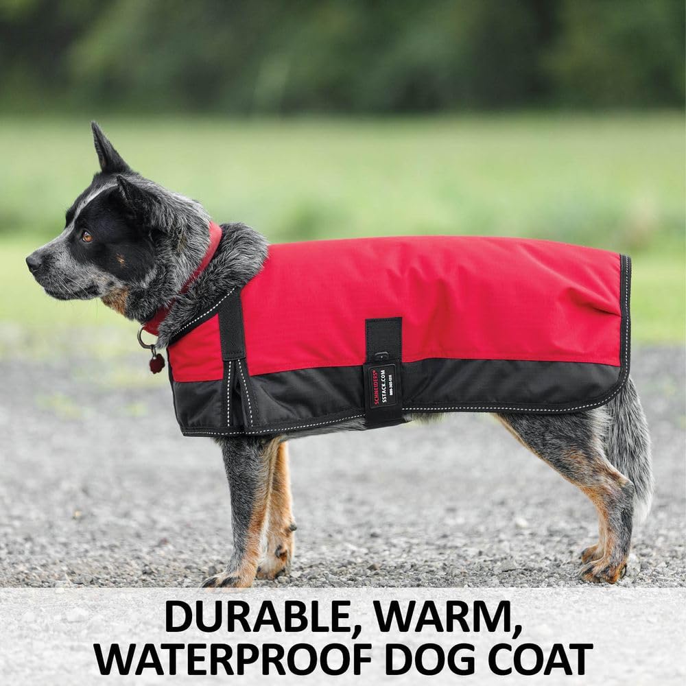 Schneiders Insulated Waterproof Reflective Dog Coats II | Reflective Stiching | 600D Polyester Waterproof | Soft Nylon Lining | Medium Weight 200gm | Color Green | Size Medium