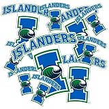 Desert Cactus Texas A&M University Sticker Corpus Christi Sticker TAMUCC Islanders Vinyl Decals Laptop Water Bottle Car Scrapbook T3 (Type 3-1)