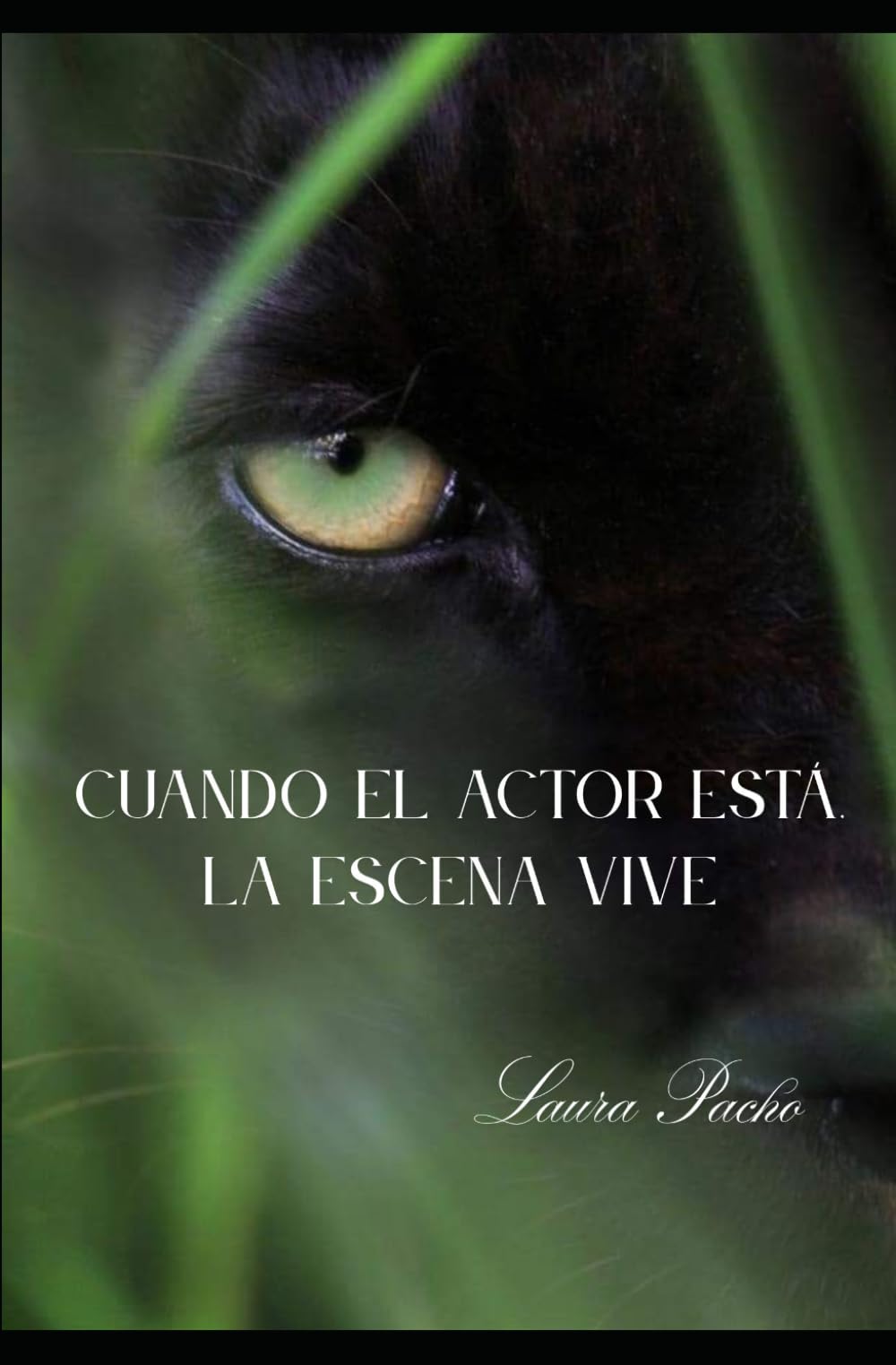 Cuando el actor está, la escena vive: Una Guia práctica de actuación desde la presencia