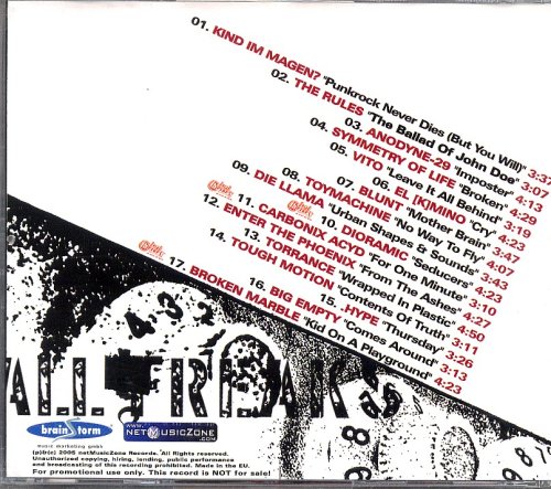 From Punkrock Till New Rock