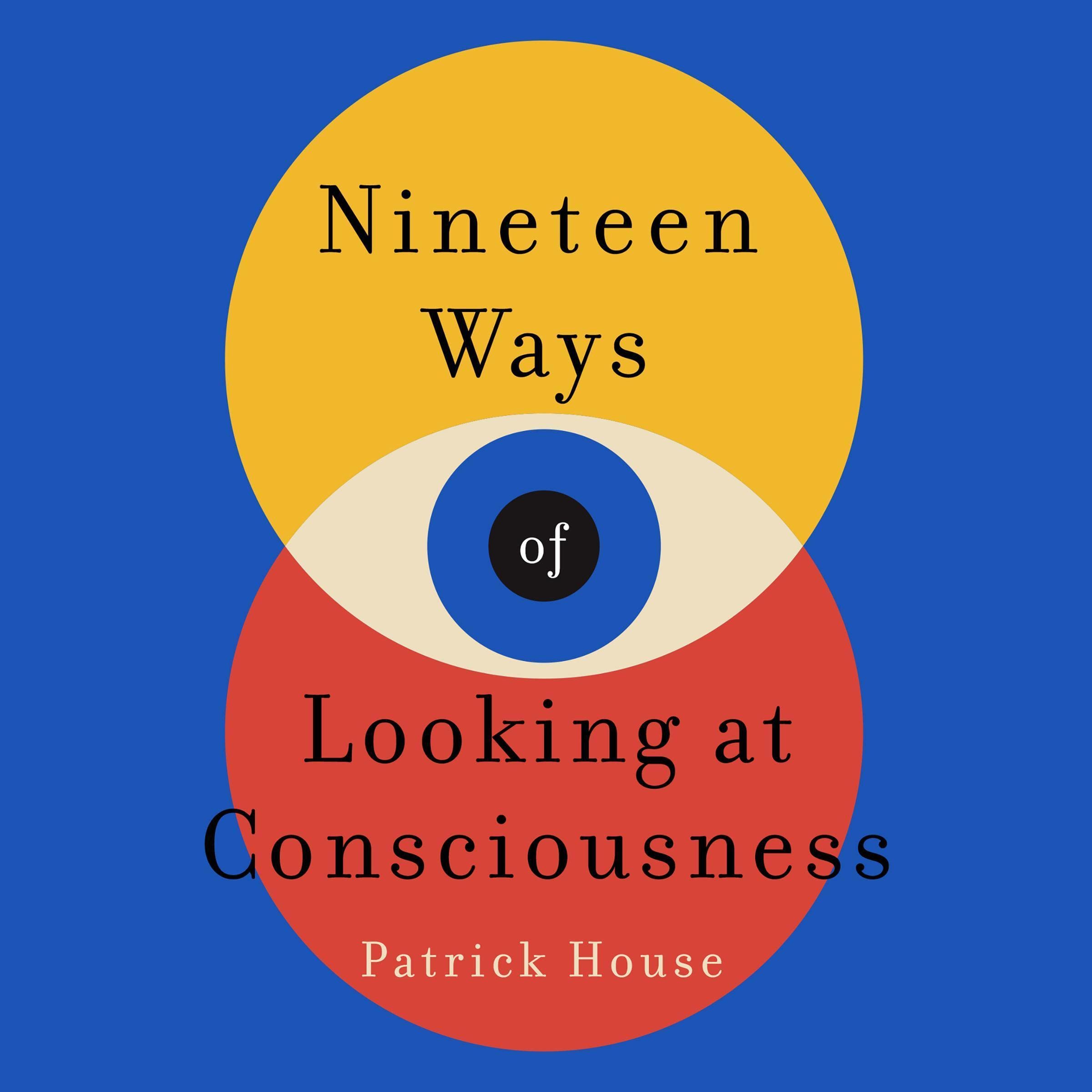 Cover art for Nineteen Ways of Looking at Consciousness