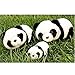 Lazada Stuffed Animal Panda Bear Baby Girl Gifts Panda Toys 6.5