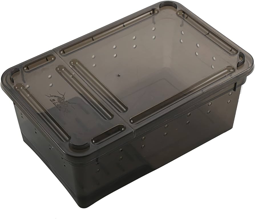 Amazon | feedbase 爬虫類 両生類 昆虫 飼育 2WAY プラスチックケース Amazon | feedbase 爬虫類 両生類 昆虫 飼育 2WAY プラスチックケース
