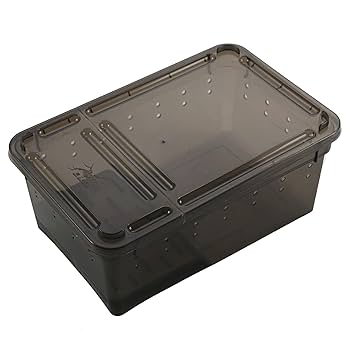 爬虫類 両生類 昆虫　プラスチック飼育ケージ　30×20×15cm 4個セット 新品・4個セット】 爬虫類 両生類 昆虫プラスチックケージ 30×20