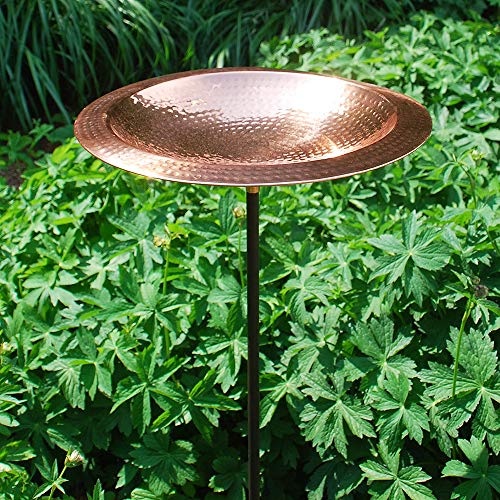 Achla Designs Hammered Copper Birdbath Bowl With Rim,Threaded #TOP3