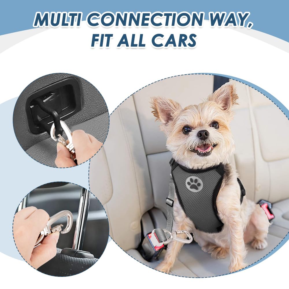 SlowTon Ceinture de sécurité pour Chien, Pack de 2 Ceintures de sécurité pour Chien, Laisse de Voiture élastique réglable, Tampon élastique renforcé, Lien de sécurité réfléchissant Nylon pour Animaux