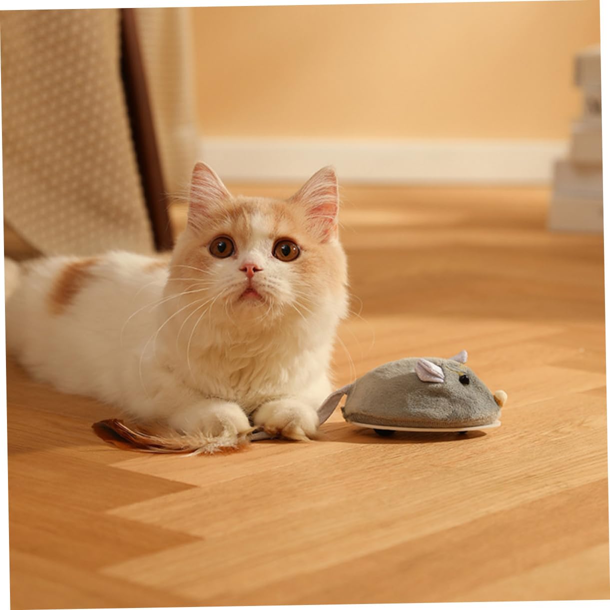 Toddmomy Lot De 3 Souris Électriques Rechargeables pour Chats Dintérieur Simulation De Souris pour Créer des Liens avec Votre Animal De Compagnie