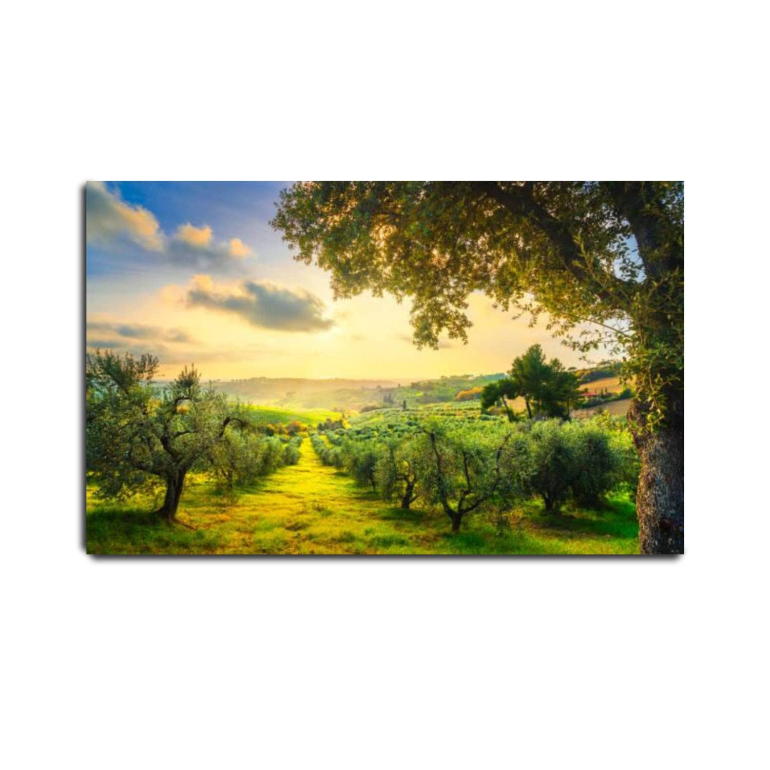 VIUBGCPS Canvas Print Pictures Wall Art Painting Maremma Countryside Panorama and Olive Trees on Sunset Casale Framed & Stretched Posters Ready to Hang Home Decor Artworks - 20x32inch
