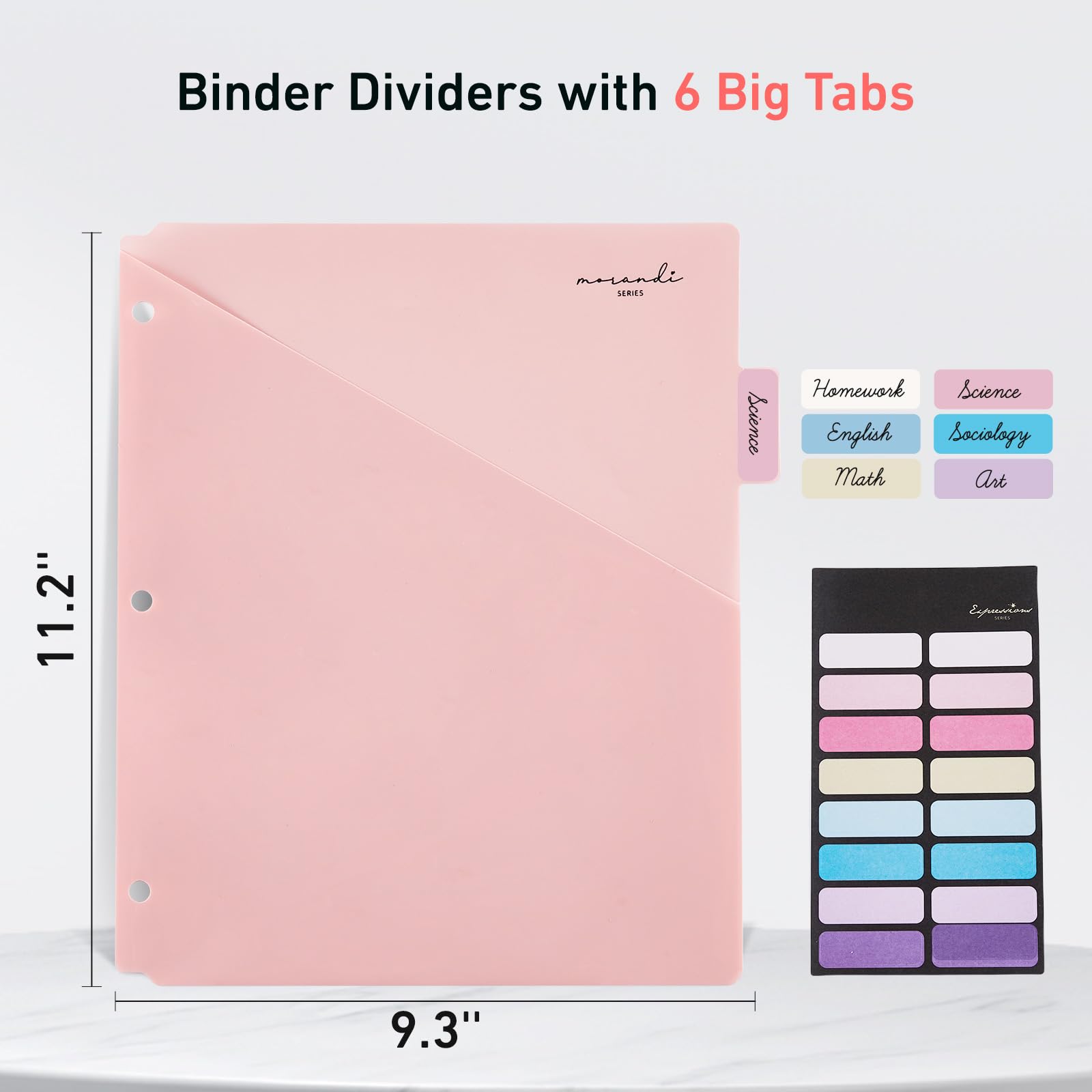 Ringbücher mit 6 Registerkarten für 3-Ringordner, 60 Stück, Register mit einer Tasche, Briefgröße 21,6 x 27,9 cm, Morandi-Farben, 10 Stück