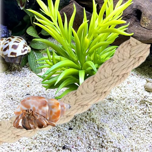 Image of Hermit Crab Climbing Toys, Hermit Crab Supplies Tank Terrarium Accessories, Habitat Decor for Tree Frogs,Crested Gecko Lizards Geckos Snakes
